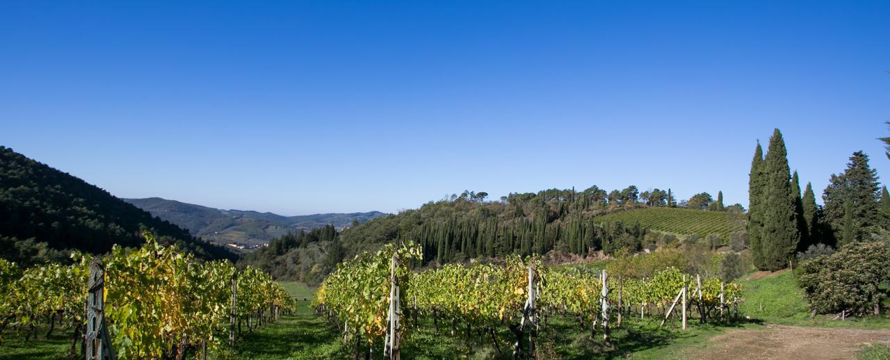 Casa Marina Daire Greve in Chianti Dış mekan fotoğraf